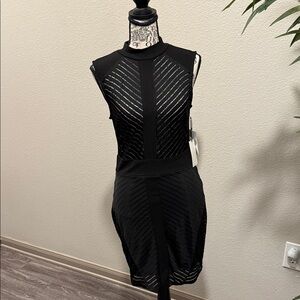 Iris Black and Silver Striped Mini Dress